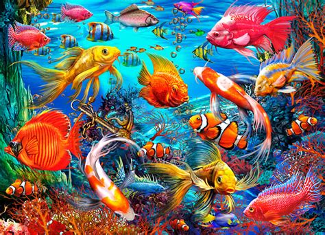 fish video|1,000+ Free Fish Videos .
